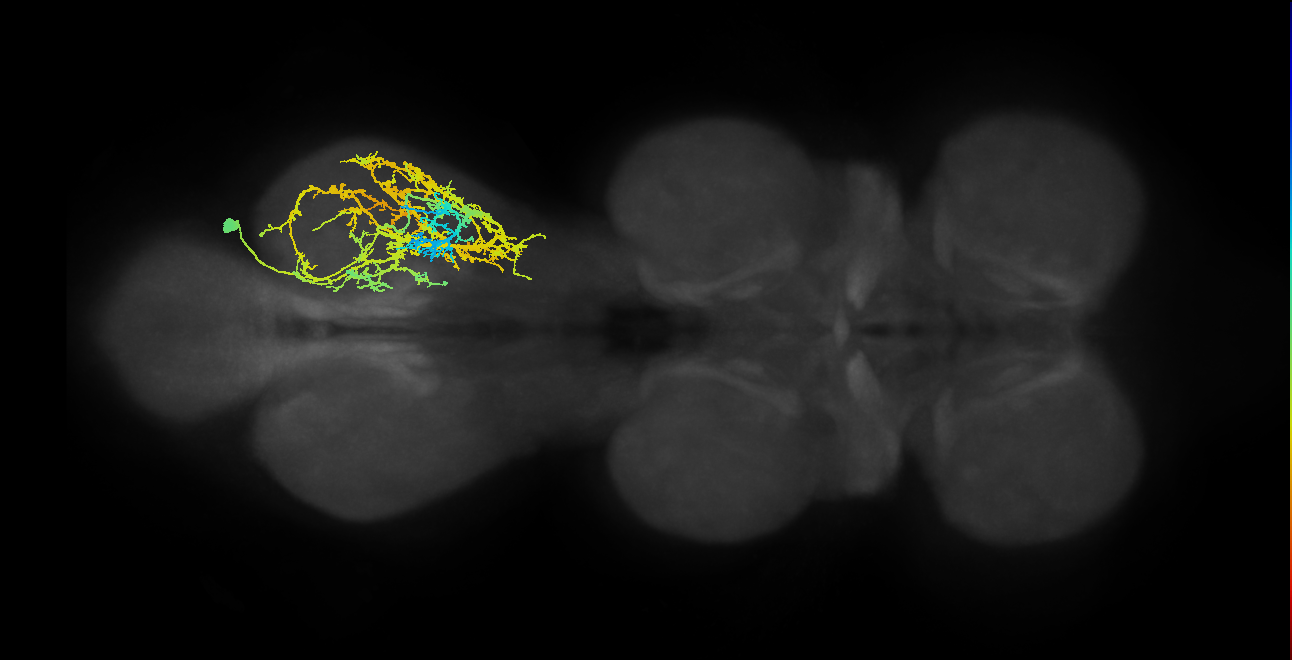 IN21A016_A1_R (MANC:14135)