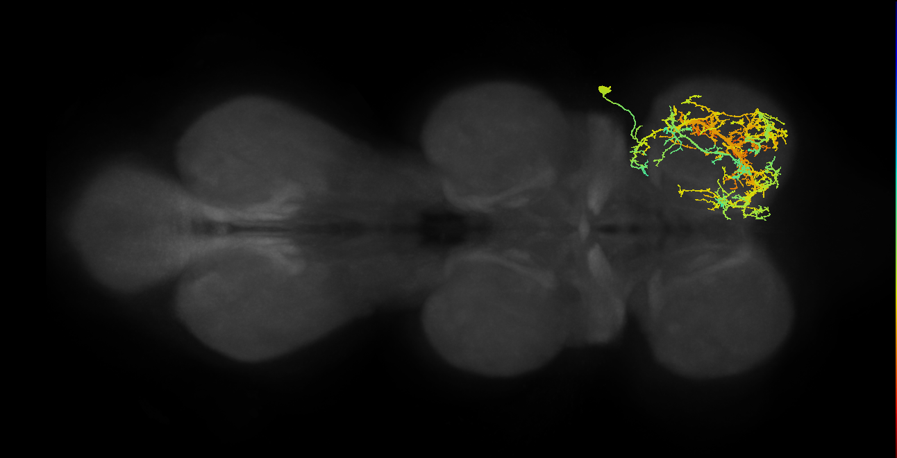 IN03A002_T1_R (MANC:14165)