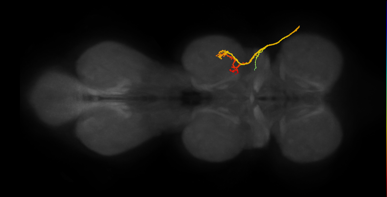 SNpp05_ADMN_R (MANC:14178)