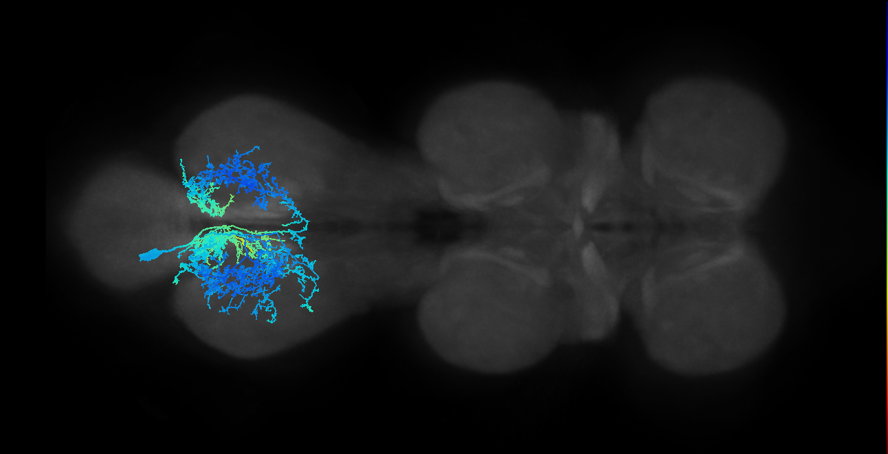 IN01B001_T3_L (MANC:14180)