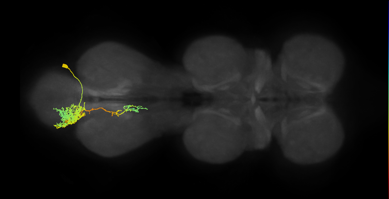 IN01A059_A6_R (MANC:14188)