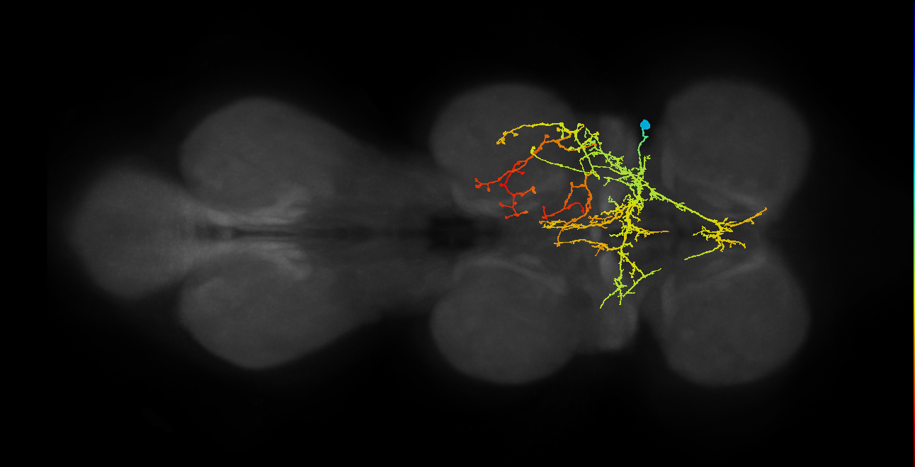 IN12A030_T1_R (MANC:14252)