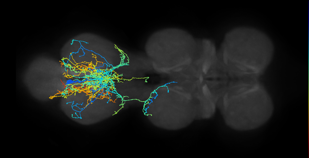 IN00A002_T3_M (MANC:14253)