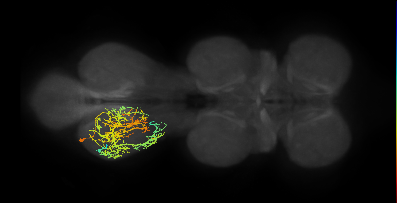 IN03A010_T3_L (MANC:14335)