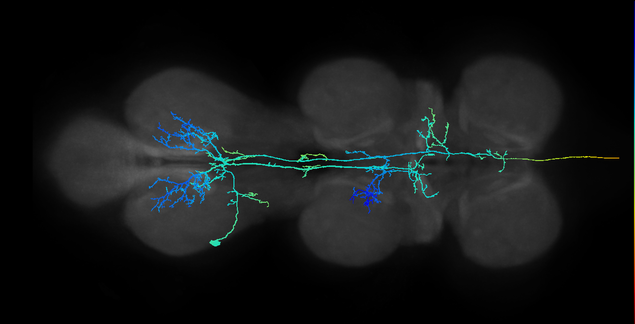 AN09B027_T3_L (MANC:14395)