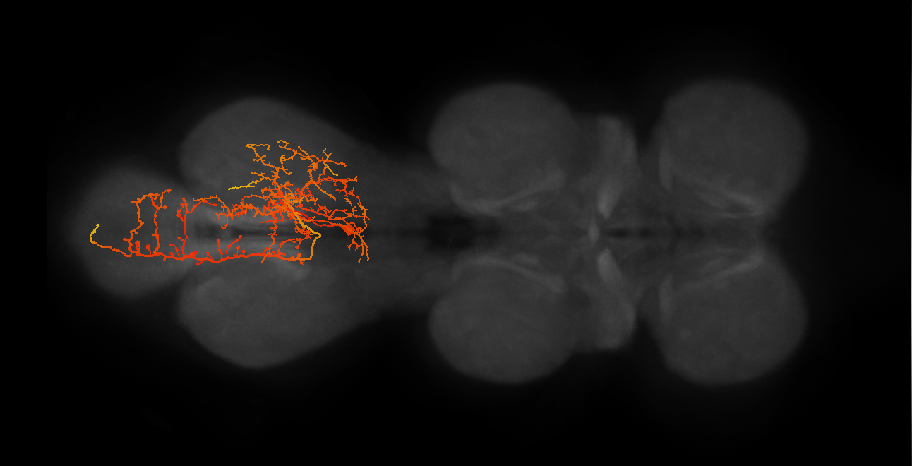 IN19B048_A1_R (MANC:14446)