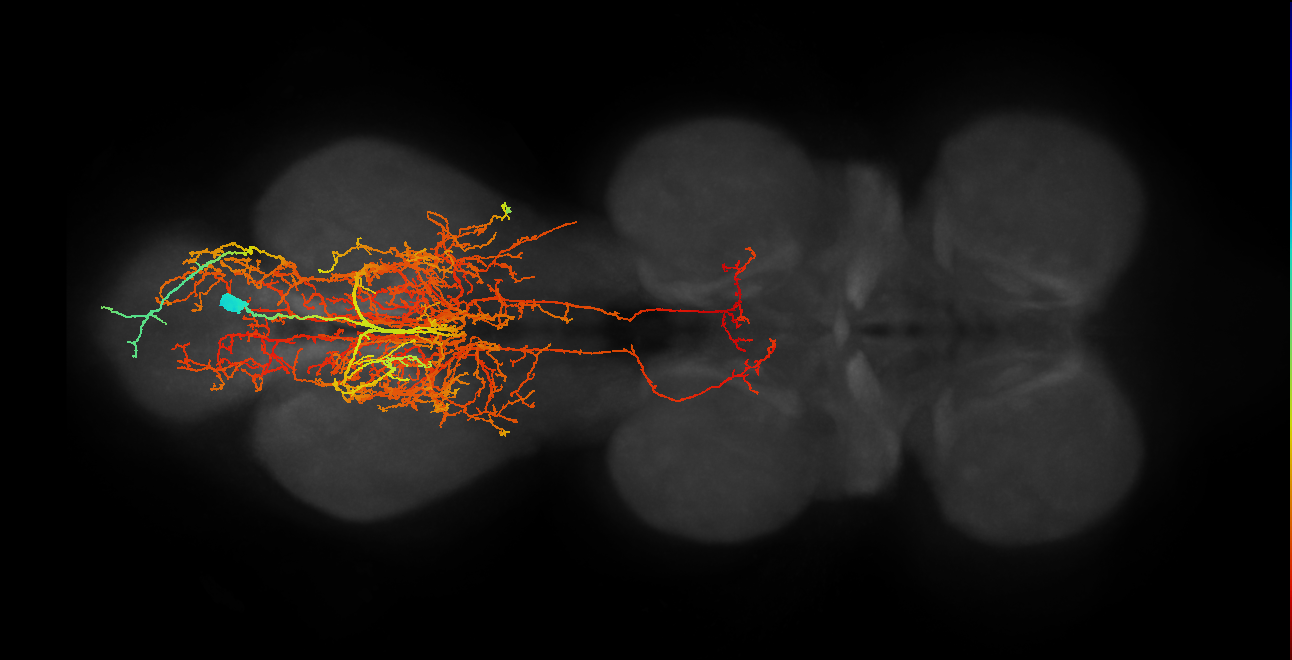 IN00A019_A1_M (MANC:14624)