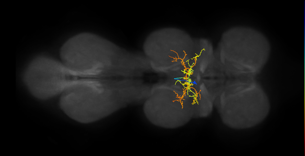 IN00A067_T2_M (MANC:14674)