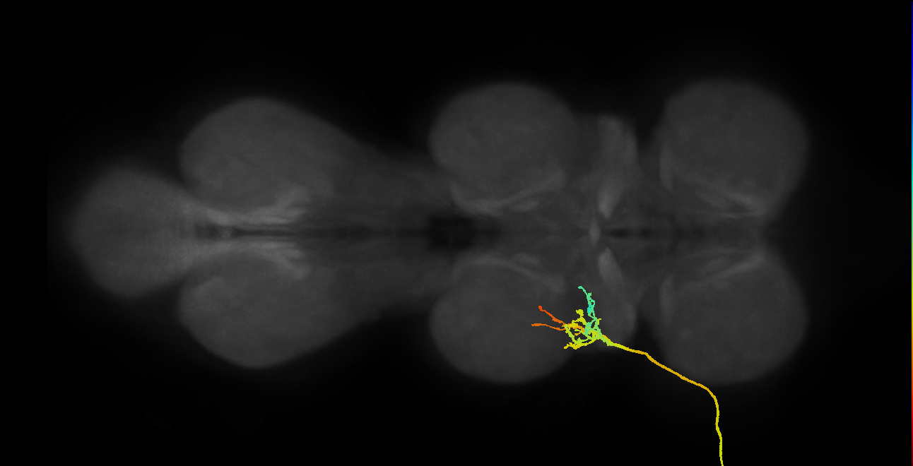 SNpp09_ADMN_L (MANC:14733)