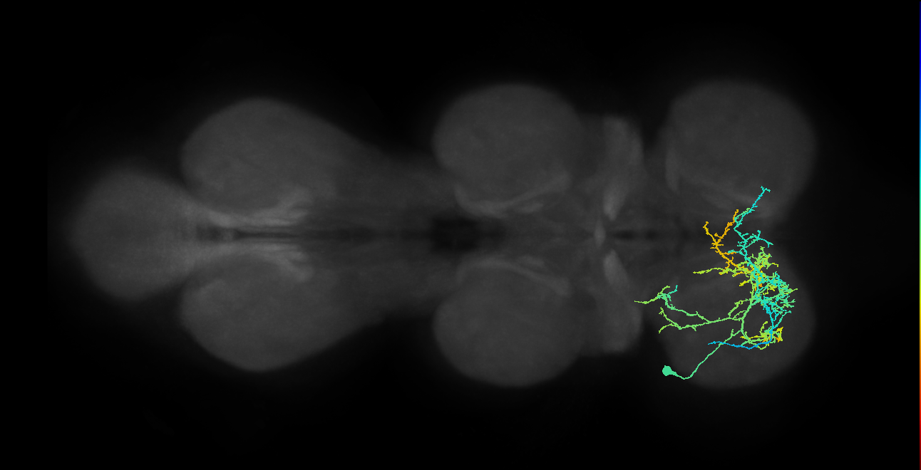 IN20A.22A007_T1_L (MANC:14815)