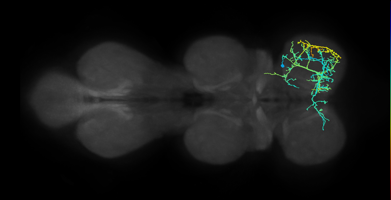 IN04B009_T1_R (MANC:14880)