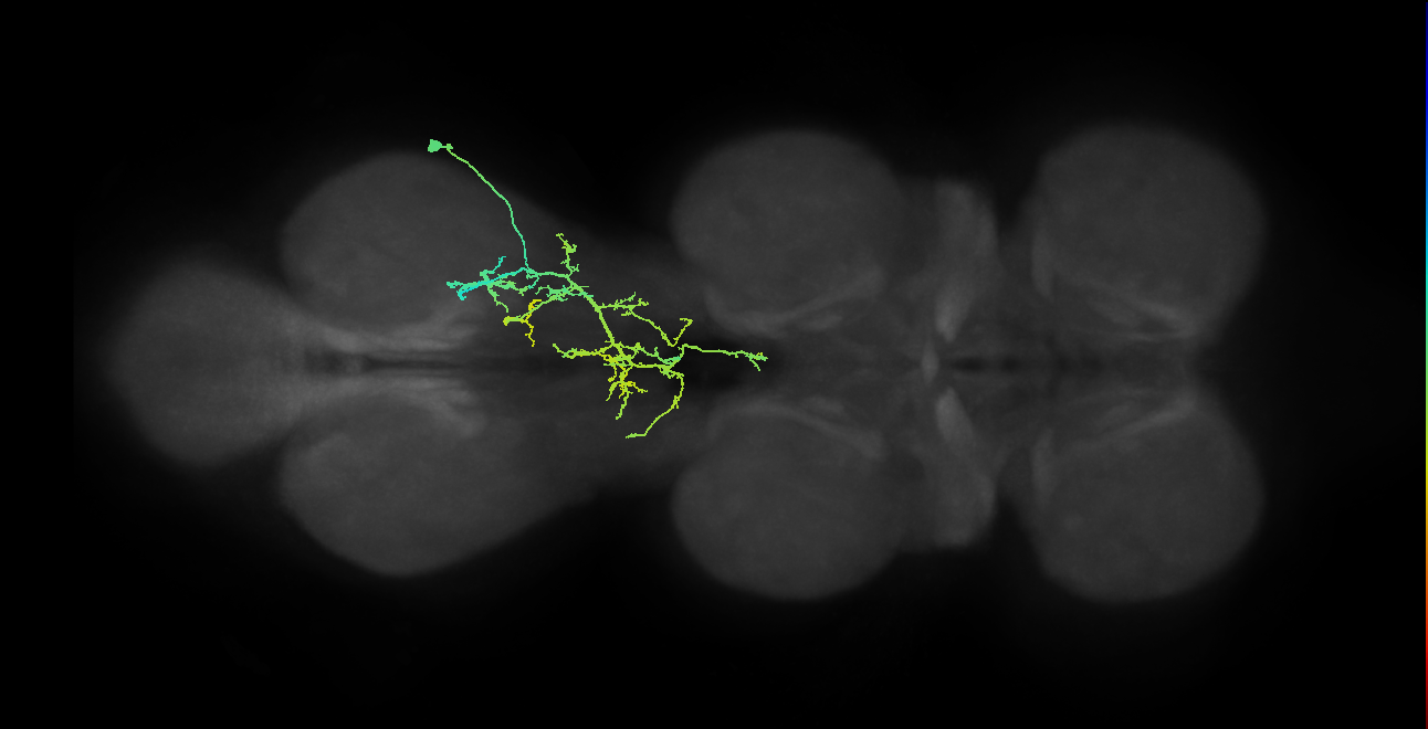 IN09A025_T3_R (MANC:14891)