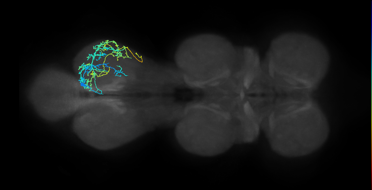 IN04B026_T3_R (MANC:14958)