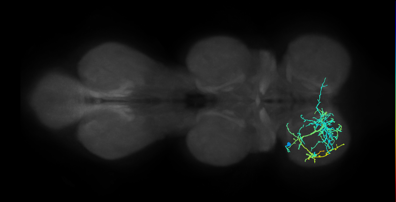 IN04B009_T1_L (MANC:15005)