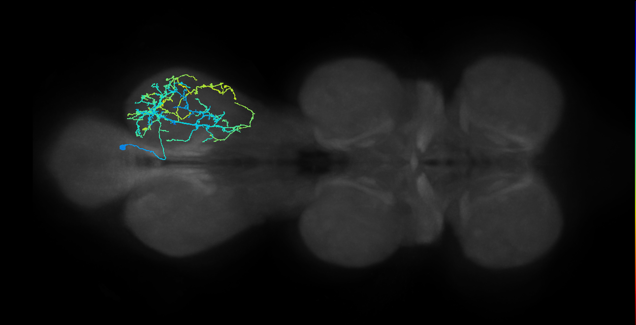 IN04B026_T3_R (MANC:15018)