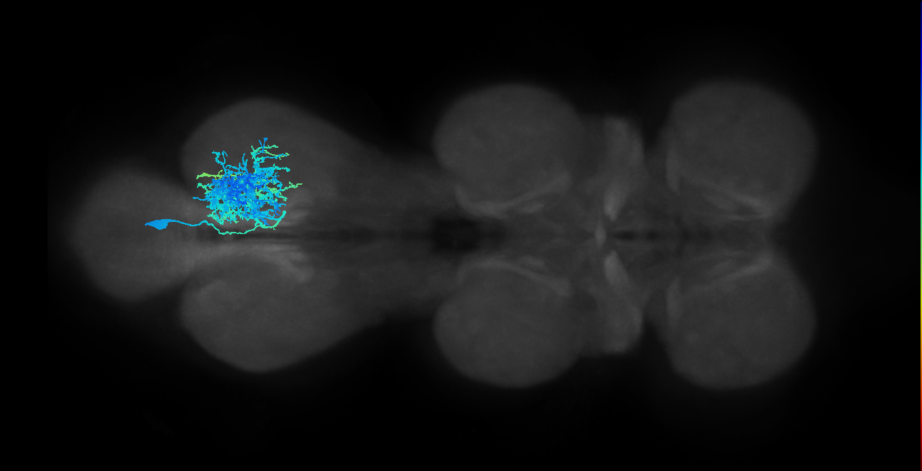 IN01B001_T3_R (MANC:15039)