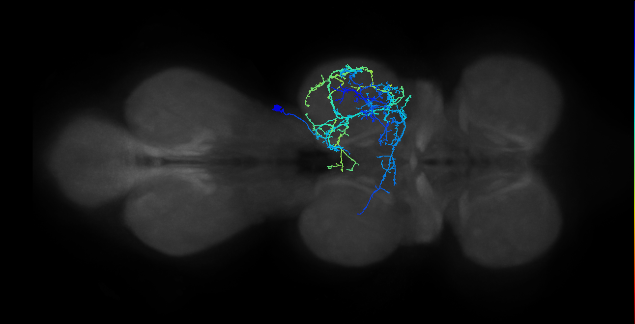 IN04B012_T2_R (MANC:15104)