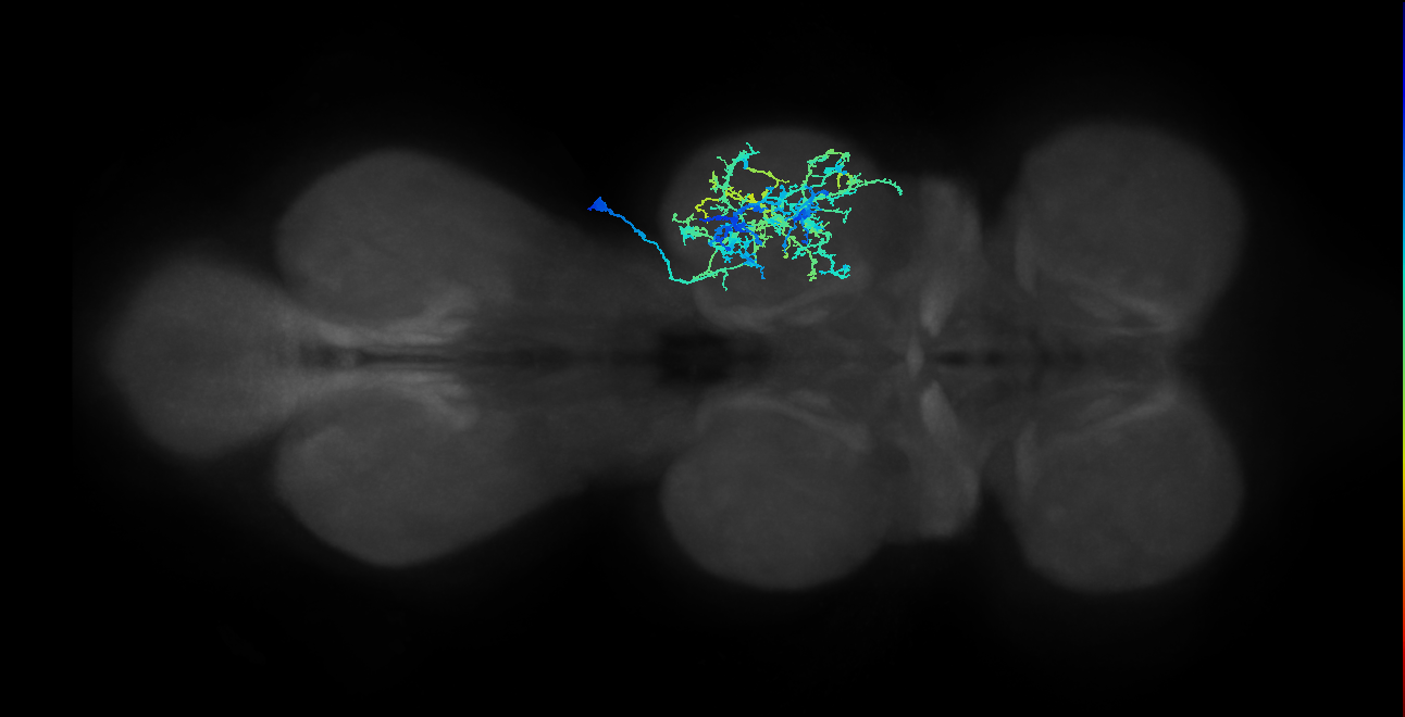 IN21A022_T2_R (MANC:15442)