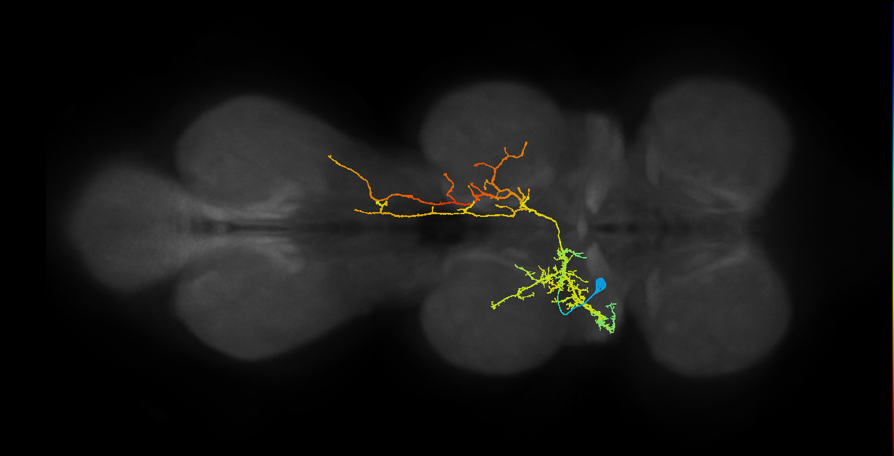 IN08B092_T2_L (MANC:15628)
