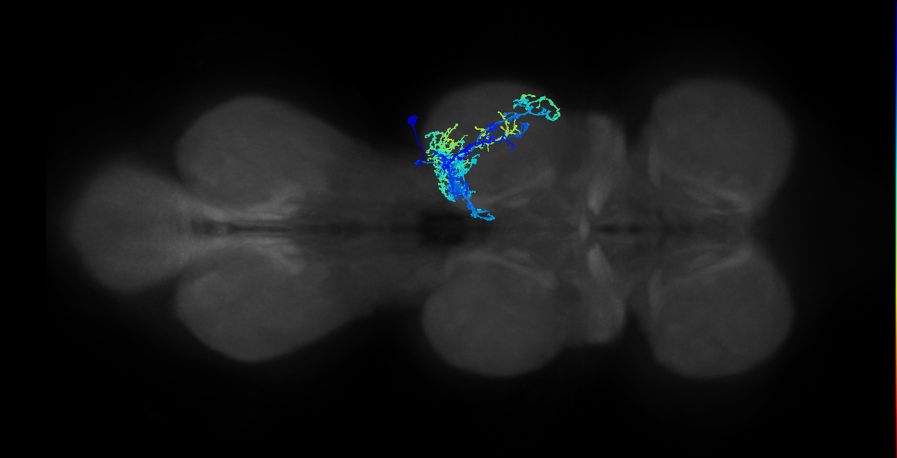 IN20A.22A005_T2_R (MANC:15671)