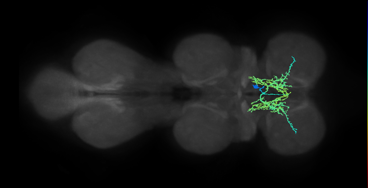 IN00A032_T1_M (MANC:15679)