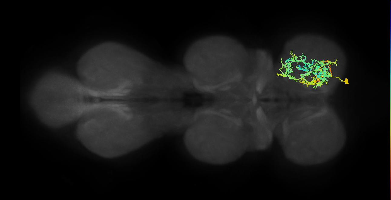 IN16B009_T1_R (MANC:15687)