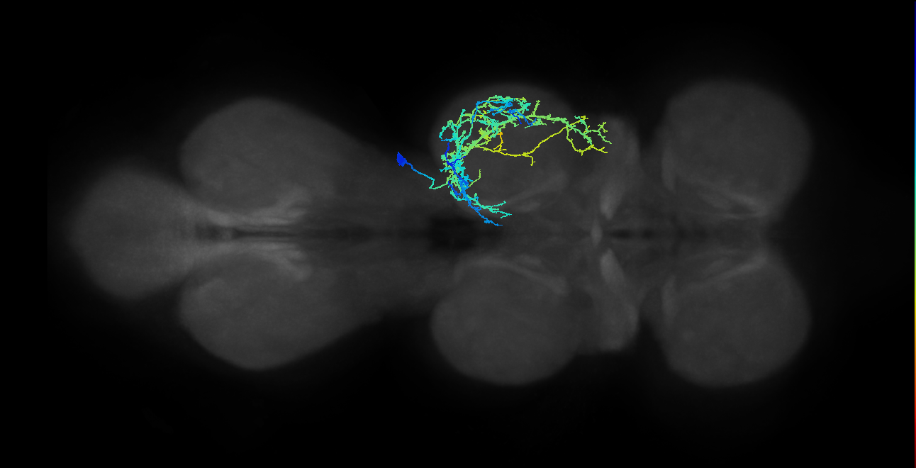 IN03A009_T2_R (MANC:15710)