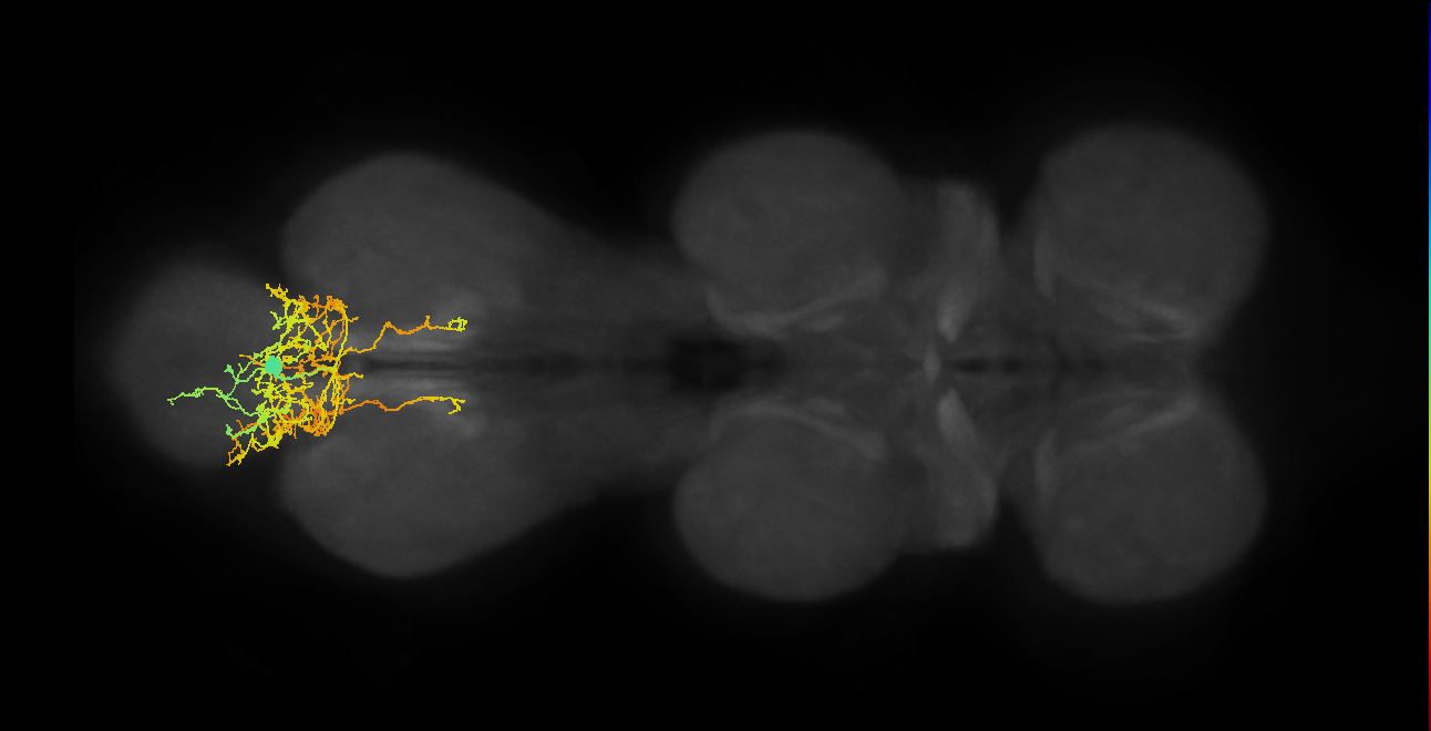 IN00A038_A3_M (MANC:15760)