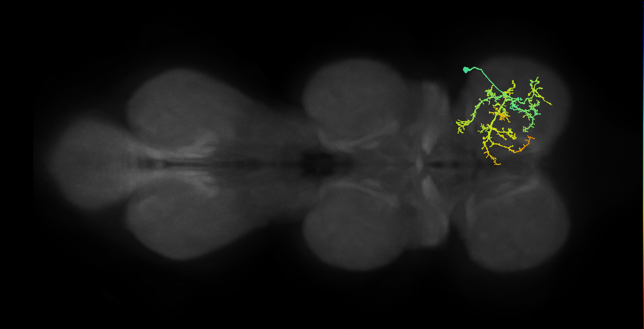 IN20A.22A010_T1_R (MANC:15768)