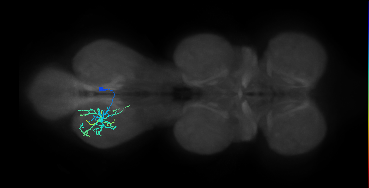 IN13B015_T3_R (MANC:15773)