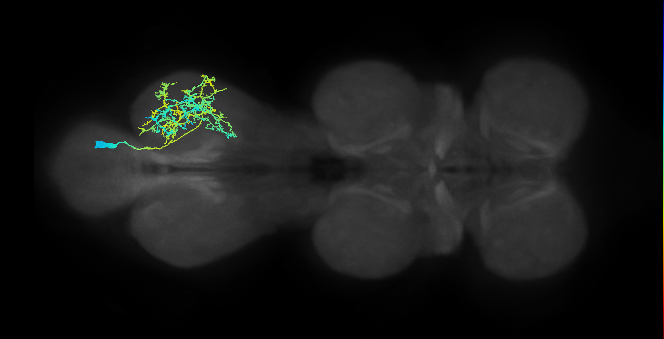 IN21A022_T3_R (MANC:15787)