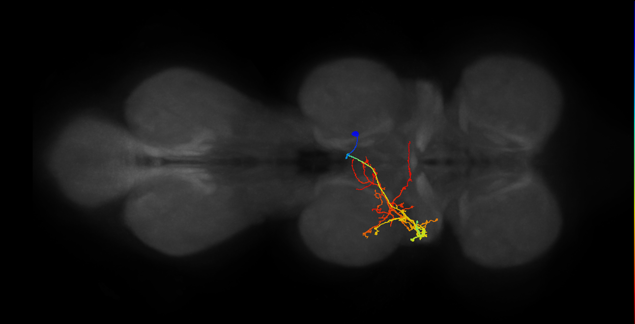 IN06B075_T2_R (MANC:15836)