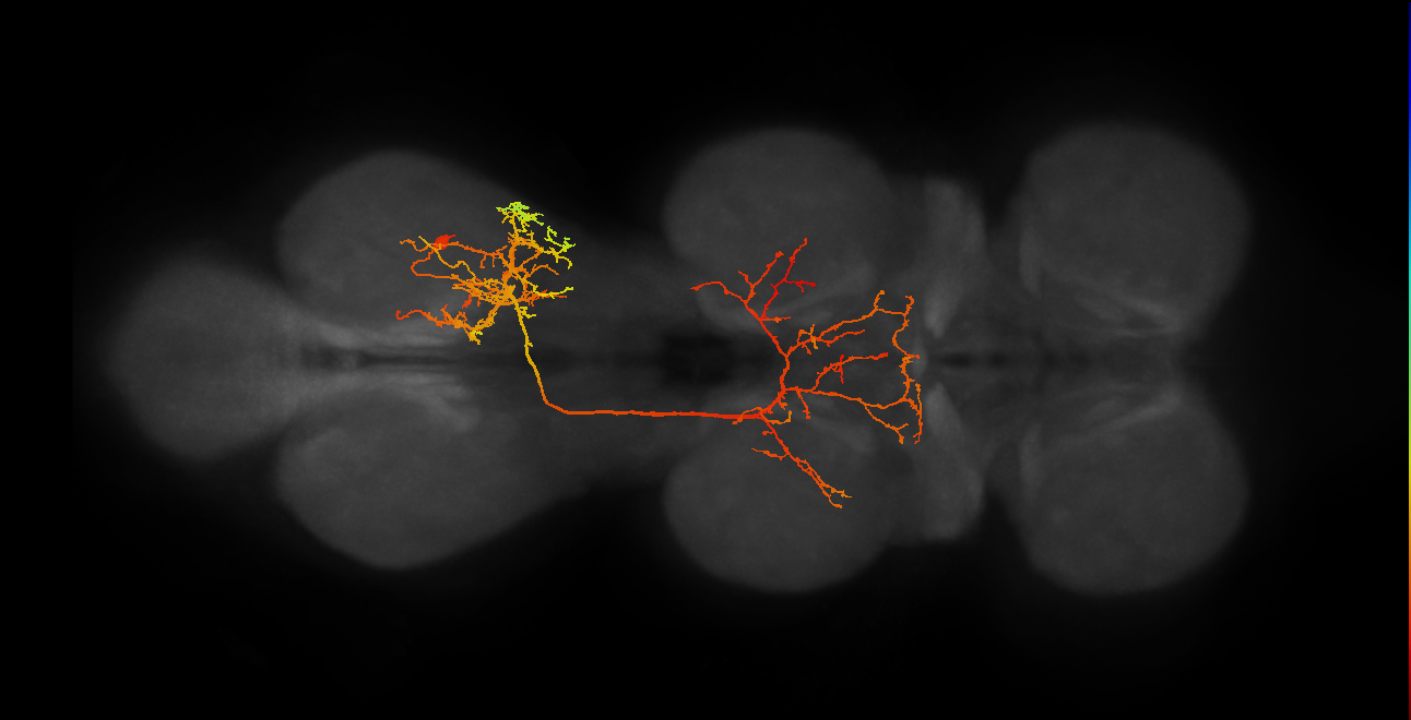 IN18B022_A1_R (MANC:15858)