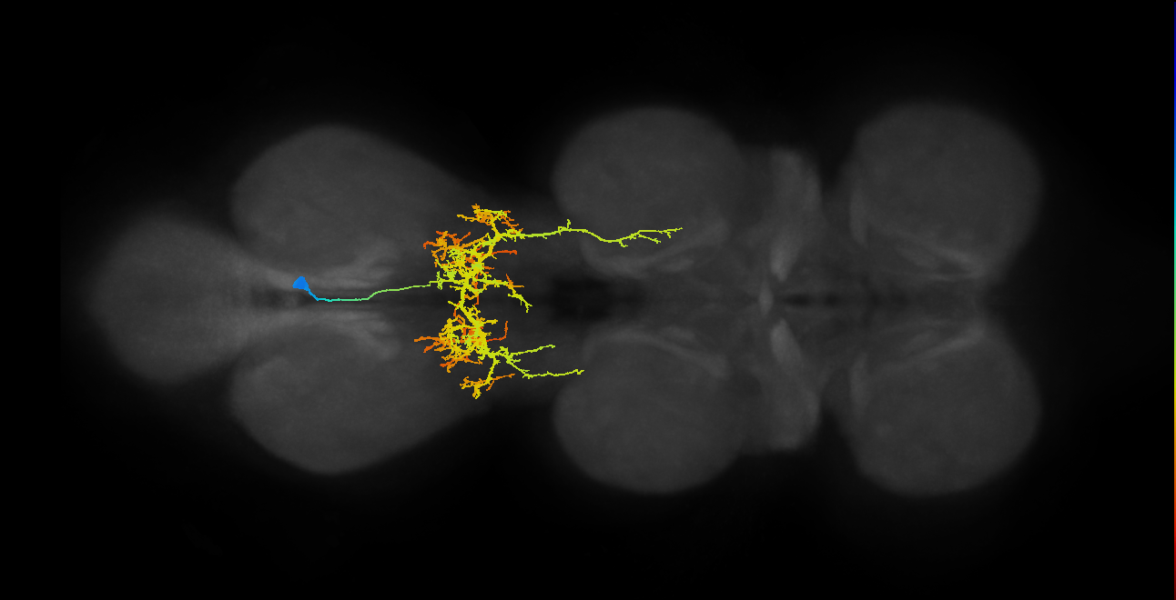IN06B046_T3_R (MANC:15943)