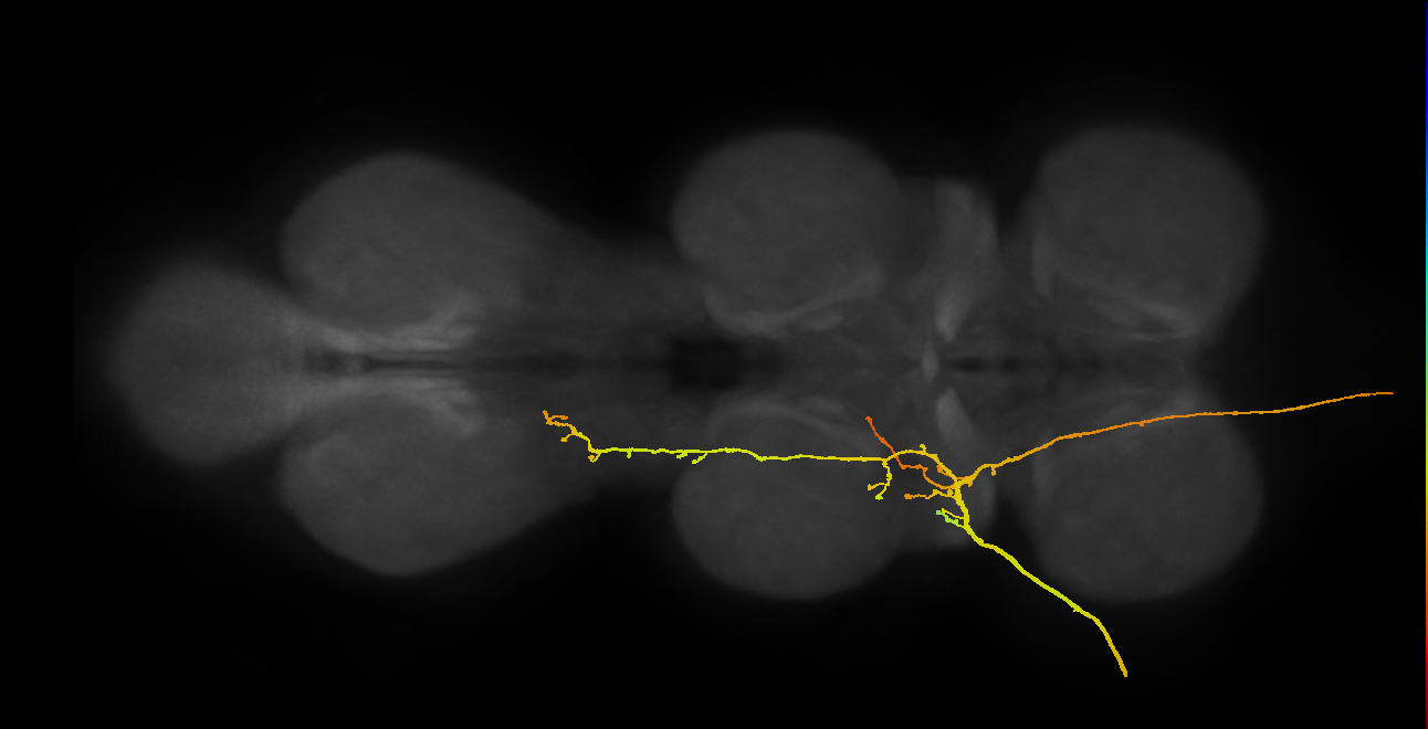 SApp04_ADMN_L (MANC:16001)