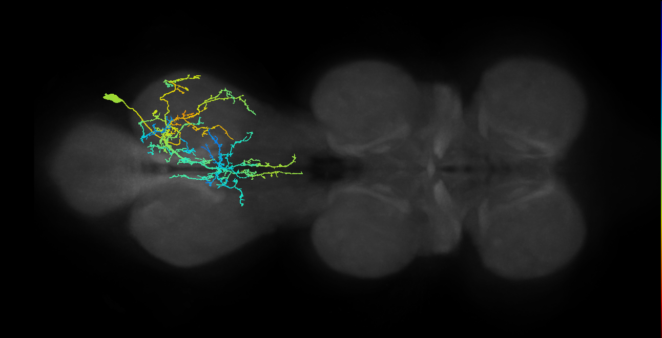 IN03A004_T3_R (MANC:16130)