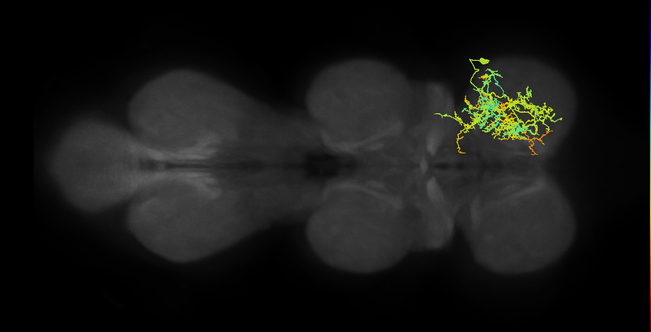 IN21A021_T1_R (MANC:16190)