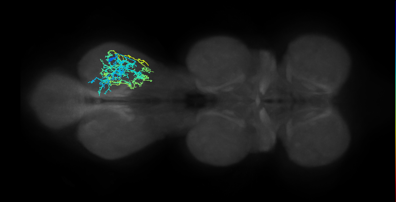 IN16B009_T3_R (MANC:16206)