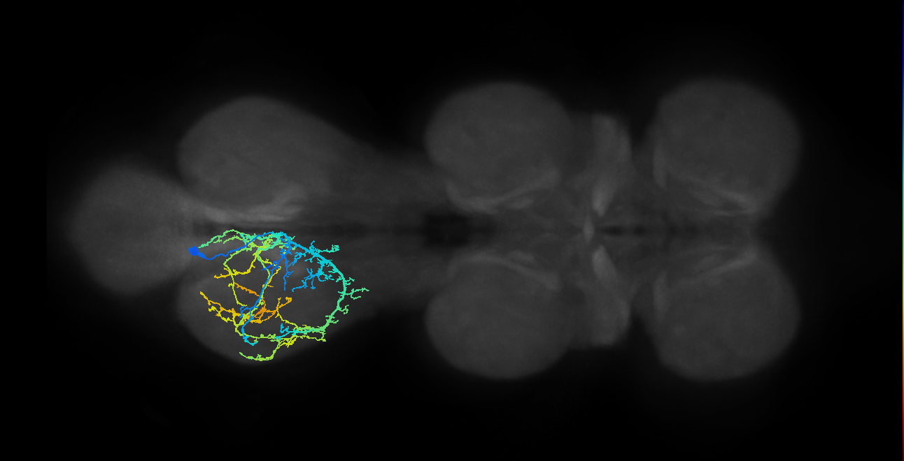 IN04B022_T3_L (MANC:16441)