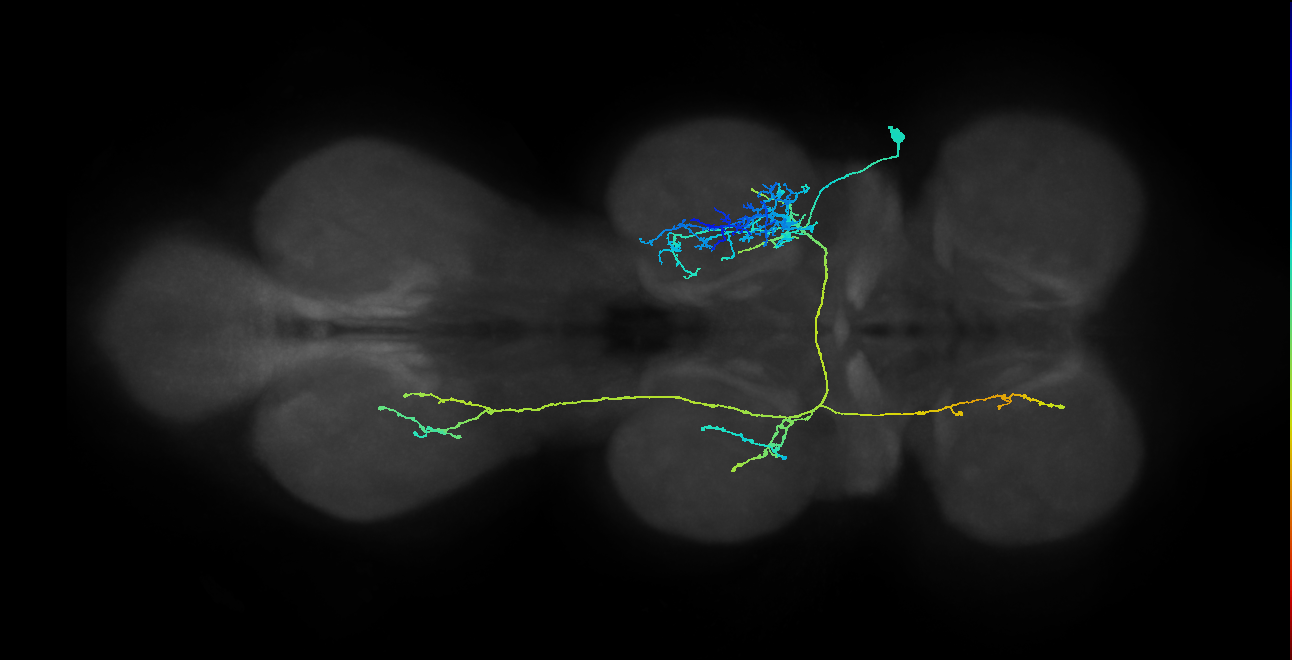 IN08B069_T2_R (MANC:16466)