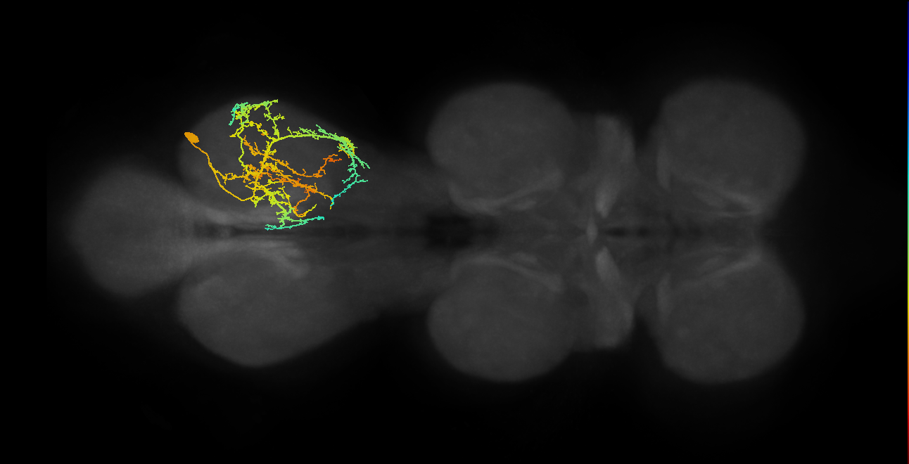 IN03A010_T3_R (MANC:16547)