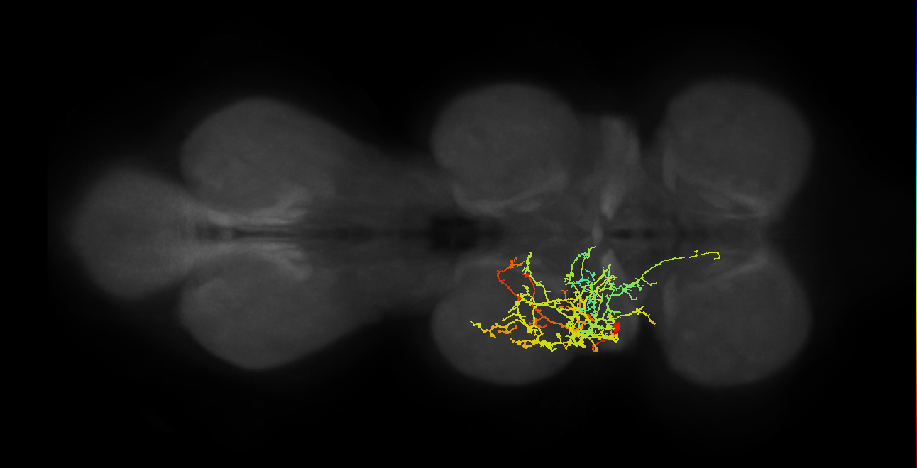IN17A056_T2_L (MANC:16580)