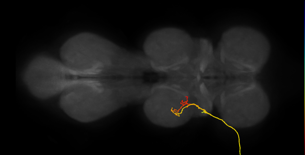 SNpp05_ADMN_L (MANC:16668)
