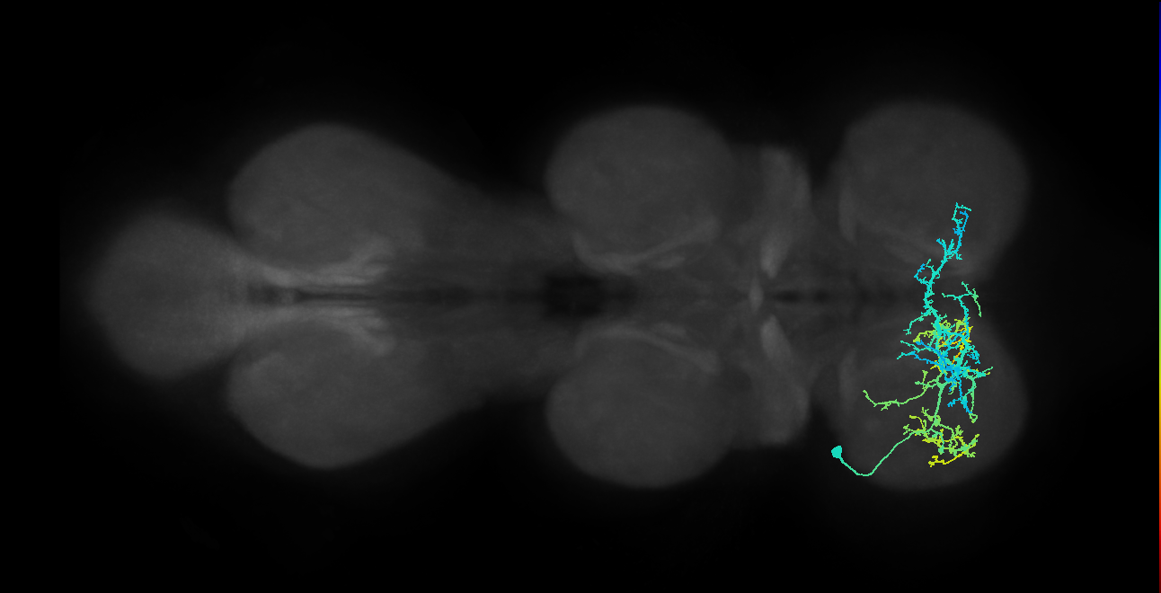 IN20A.22A007_T1_L (MANC:16677)