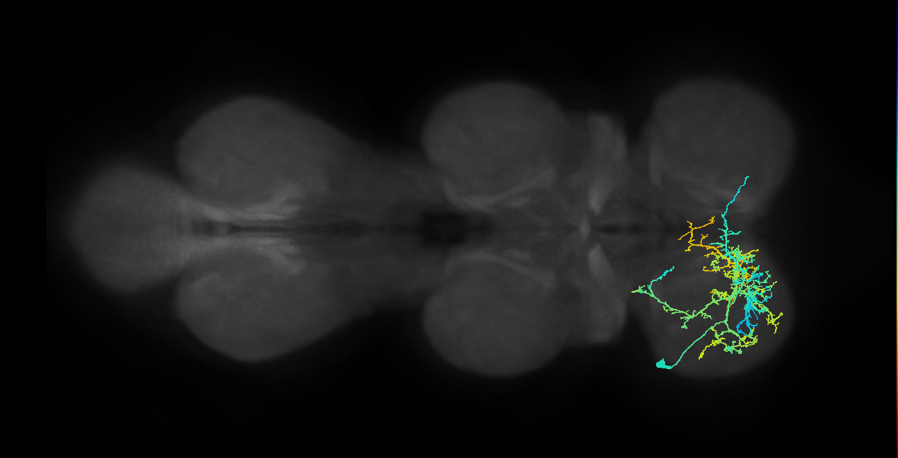 IN20A.22A007_T1_L (MANC:16792)