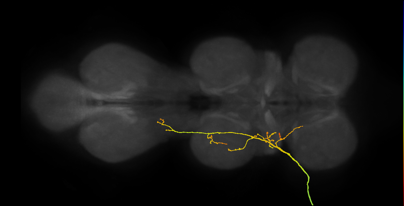 SNpp03_ADMN_L (MANC:16805)