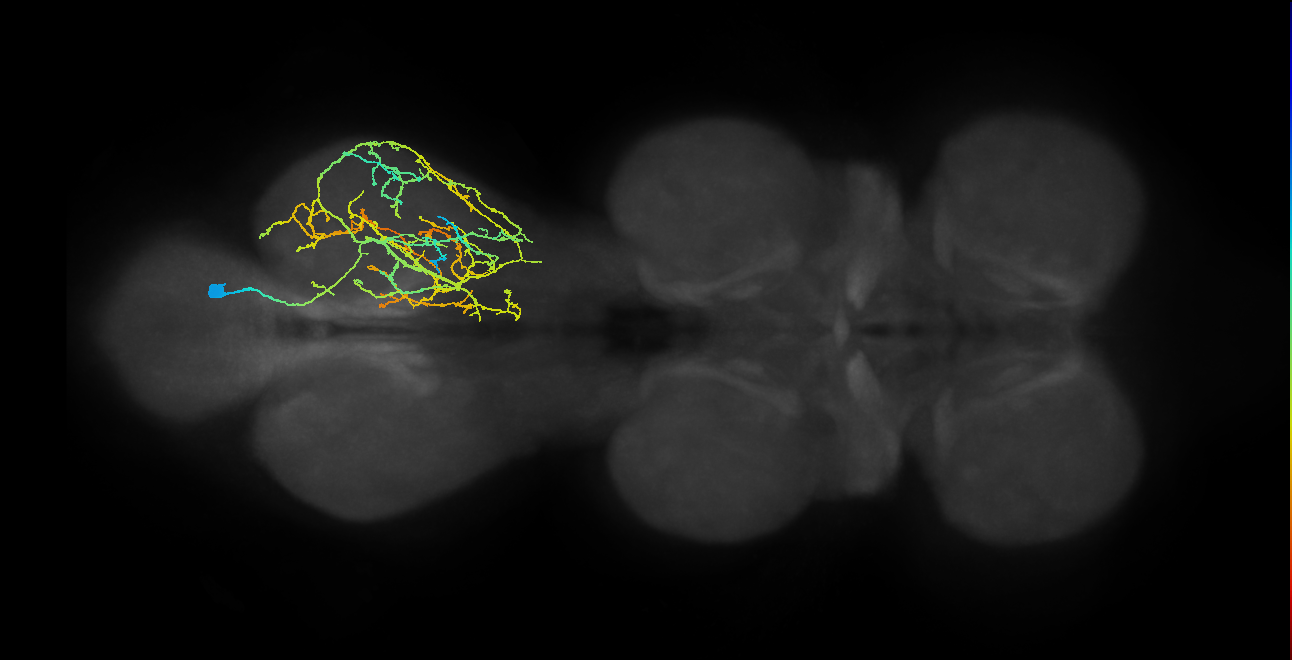 IN04B018_T3_R (MANC:16860)