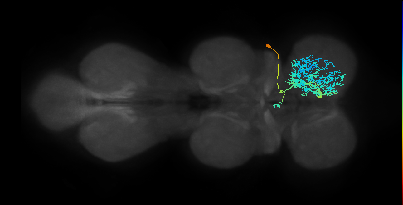 IN23B020_T1_R (MANC:16875)