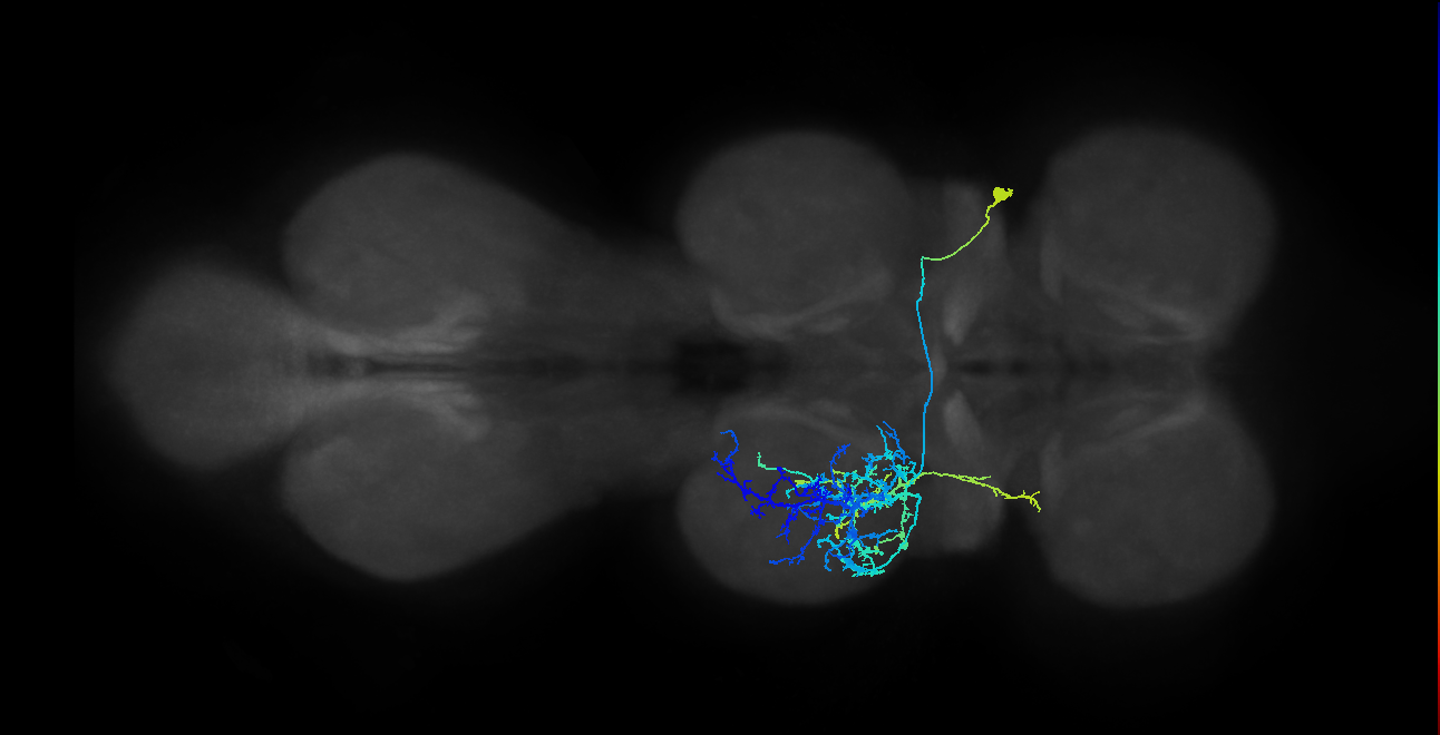 IN01A053_T2_R (MANC:16893)