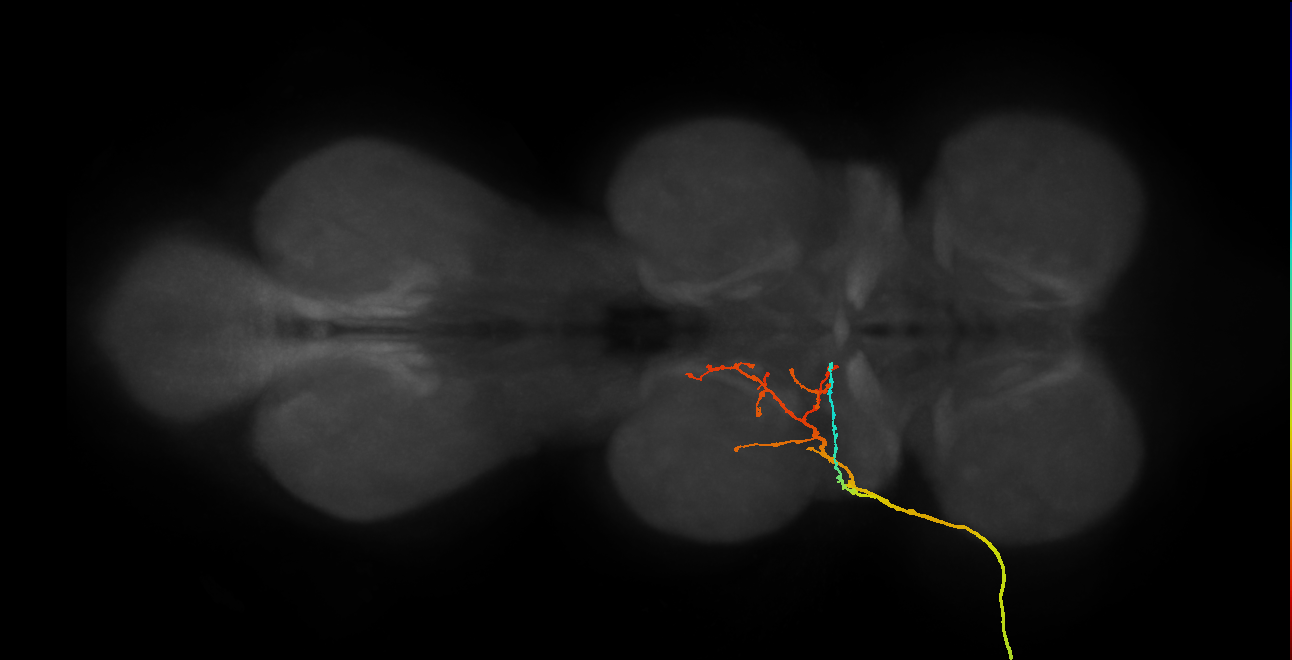 SNpp07_ADMN_L (MANC:16904)